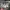 New Balance Streetwear Sportswear Sneakers Pria multicolor photo 4
