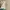Y2K Minimalist Casual dress Wanita white photo 1