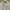 Y2K Minimalist Casual dress Wanita white photo 3