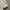 Y2K Minimalist Casual dress Wanita white photo 4