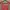 Vintage Cottagecore Midi Dress Wanita Red