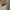 Vintage Casual Midi dress Wanita khaki photo 3