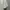 Vintage Casual Midi dress Wanita white photo 3