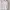 Earth, Music & Ecology Vintage Casual Puffer jacket Wanita white cream photo 3