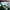Adidas Campus 00's Dark Green Cloud White photo 6