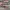 Oakley Flak Jacket Titanium Eyewear photo 10