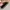 FENDI PEQUIN CAMERA CROSSBODY BAG photo 7