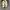 Converse Jack Purcell Zip Leather photo 7