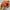 The Hundreds Streetwear Hat Pria orange photo 4