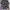 AAPE by A Bathing Ape reversible photo 4