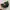 Supreme Streetwear Hat Pria green photo 2