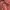 Aeropostale hood zip photo 2