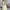 Fairy Minimalist Midi dress Wanita white green photo 3