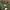 Lee Casual Sweater Pria green photo 2