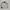 adidas VRCT oversize refersible jacket photo 4