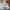 Japanese brand Lolita Hat Wanita white photo 1