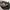 Coach Luxury Bags & purse Wanita gray photo 6