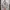 thisisneverthat Streetwear Futurist Hoody Pria red gray photo 2