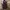 The North Face Gorpcore Vest Pria burgundy photo 1