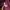 The North Face Gorpcore Vest Pria burgundy photo 8