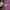 The North Face Gorpcore Vest Pria burgundy photo 6