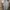 Yves Saint Laurent YSL Casual Polo shirt Pria gray photo 5