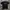 Carhartt Casual T-shirt Pria black photo 1