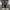 Sandro Paris Luxury Sneakers Pria black photo 1