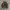 Kempel Casual Harrington jacket Pria green cream photo 5