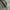 Crocodile Casual Harrington jacket Pria black cream photo 2