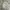 Polo Ralph Lauren Casual Harrington jacket Pria cream photo 4