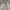 Polo Ralph Lauren Casual Harrington jacket Pria cream photo 2