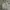Polo Ralph Lauren Casual Harrington jacket Pria cream photo 1