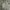Polo Ralph Lauren Casual Harrington Jacket Pria Cream