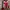 The North Face Gorpcore Puffer jacket Pria red gray photo 3