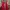 The North Face Gorpcore Puffer jacket Pria red gray photo 4