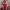The North Face Gorpcore Puffer jacket Pria red gray photo 1