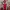 The North Face Gorpcore Puffer Jacket Pria Red Gray