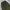 RODEO BAGGY WIDE CARGO ARMY photo 4