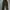 RODEO BAGGY WIDE CARGO ARMY photo 7