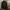 The North Face Casual Harrington jacket Pria gray photo 4