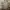 Burberry Luxury Formal shirt Pria tan brown photo 1