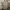 Burberry Luxury Formal Shirt Pria Tan Brown