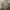 Burberry Luxury Formal shirt Pria tan brown photo 2