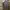 Burberry Luxury Formal shirt Pria gray photo 3