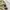 Hai Sporting Gear Vintage Streetwear Hoody Pria brown photo 5