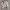 Dolce & Gabbana Vintage Luxury Cardigan Wanita tan photo 1