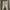 Sportswear Minimalist Wanita white photo 1