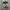 Golden goose superstar silver black suede photo 6