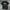 Calvin Klein Script Tee